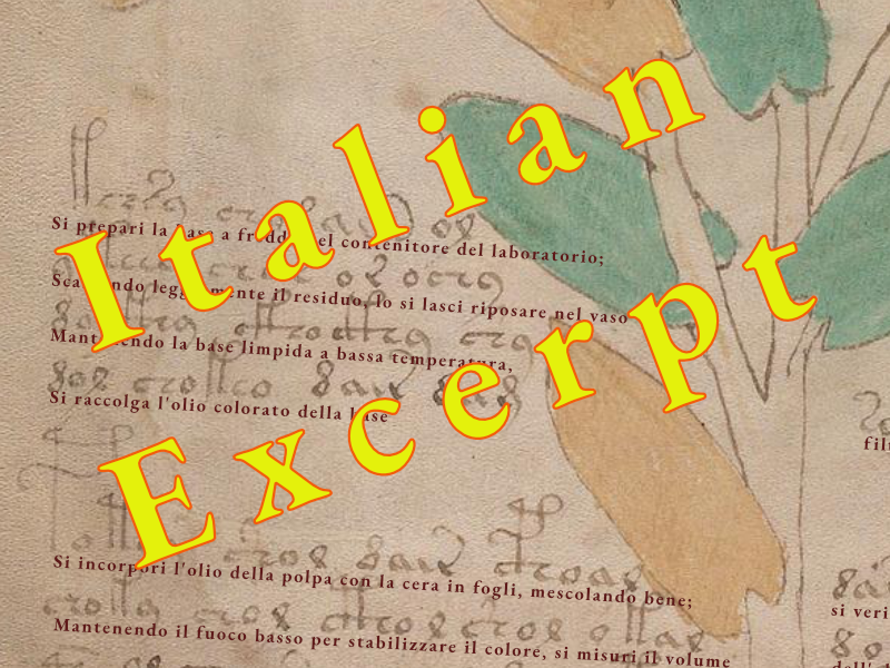 Voynich Page f1v Translation - Poster