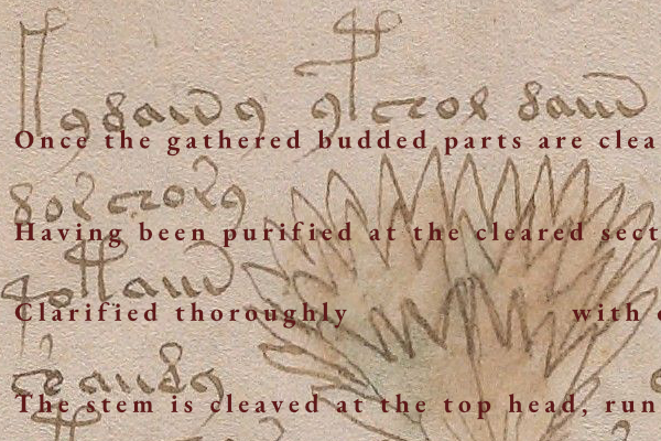 Decoding Folio f2r: The 15th-Century Apothecary Workshop in Action