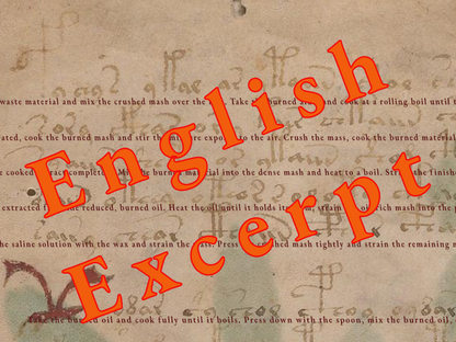 Voynich Page f1r Translation - Poster