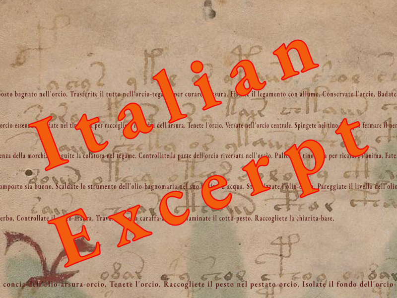 Voynich Page f1r Translation - Poster