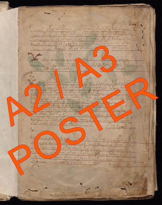 Voynich Page f1r Translation - Poster