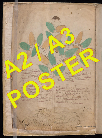 Voynich Page f1v Translation - Poster
