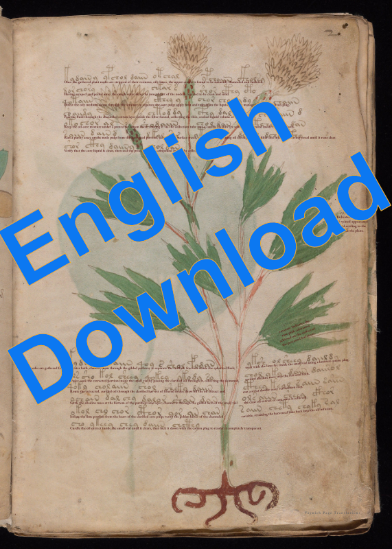 Voynich Page f2r Translation - Digital Download