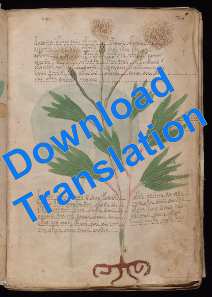 Voynich Page f2r Translation - Digital Download