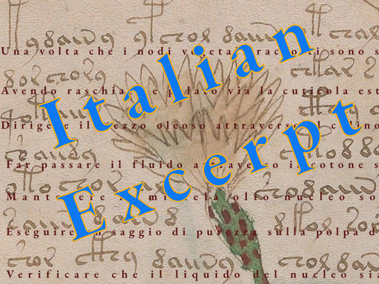 Voynich Page f2r Translation - Digital Download